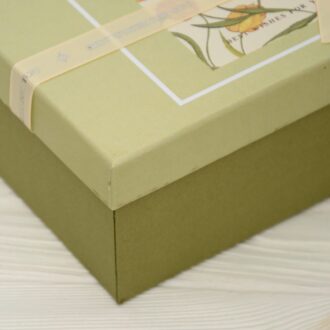 Коробка прямокутна